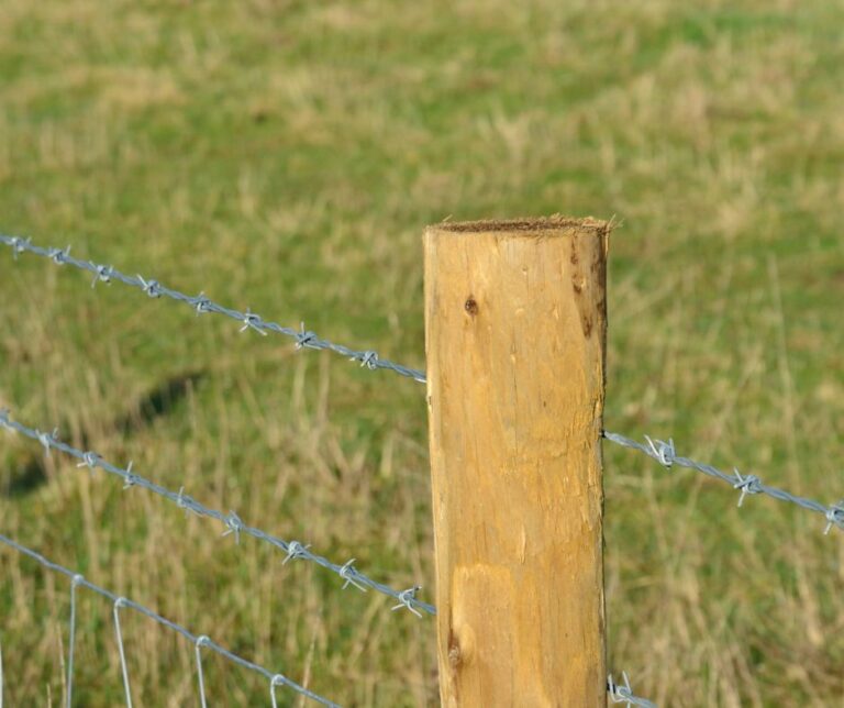 poste de madera en un vallado agrícola